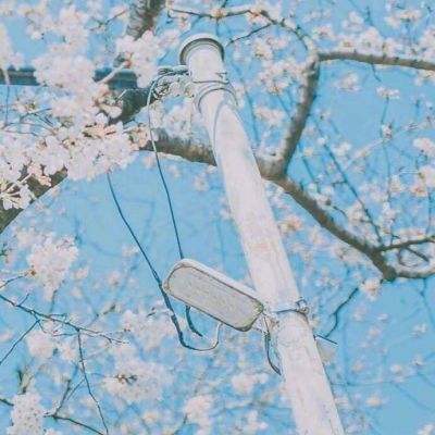 AG旗舰厅app下载